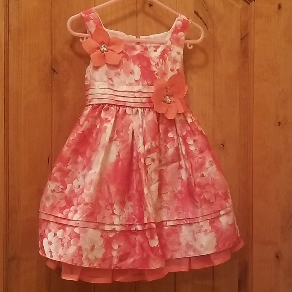 Fancy toddler dress pink floral (3T)